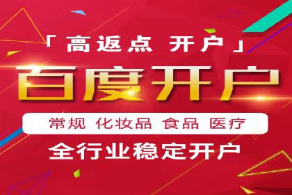 解析SEM竞价代运营公司的技术实力与服务优势